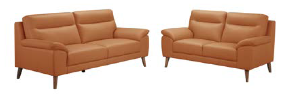 Lifestyle Leather Sofa Set(3S+2S)